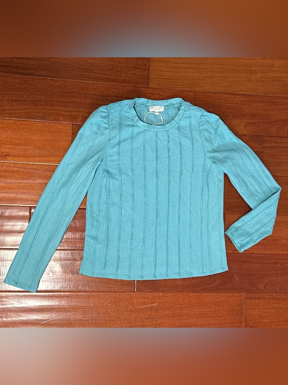 Status by Chenault Women’s Small Teal Ribbed Long Sleeve Knit Top